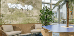 Pourquoi nous confier la conception de votre enseigne publicitaire de commerce sur Dunkerque ?